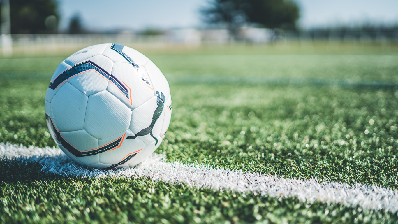 Players of the Serbian National Football Team: Squad for Upcoming Matches