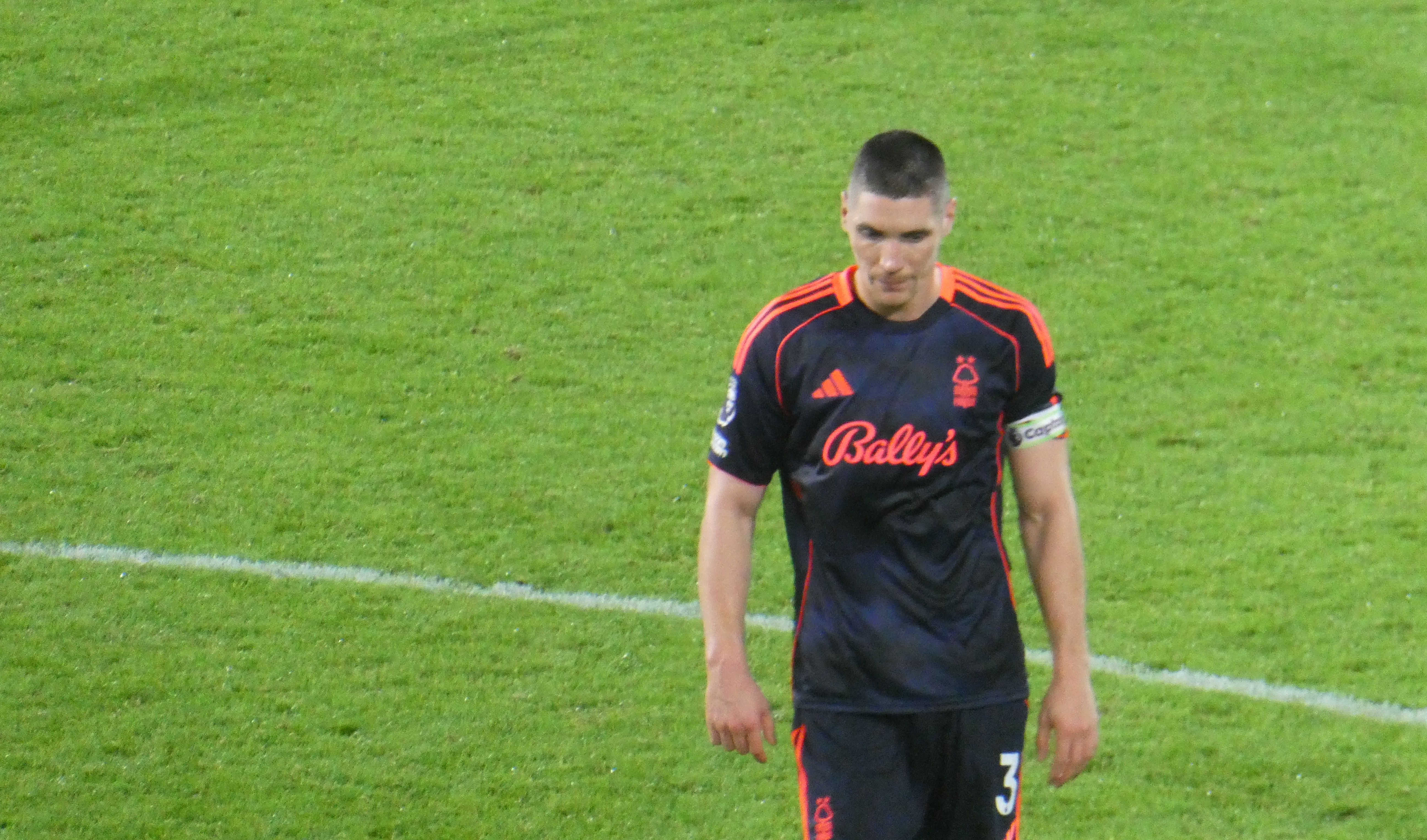Nikola Milenković