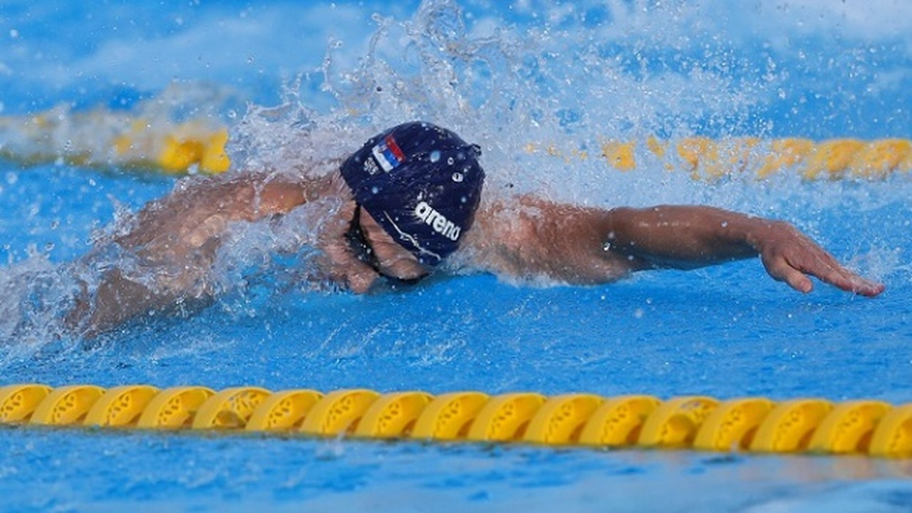 A Serbian swimmer races butterfly in an indoor pool