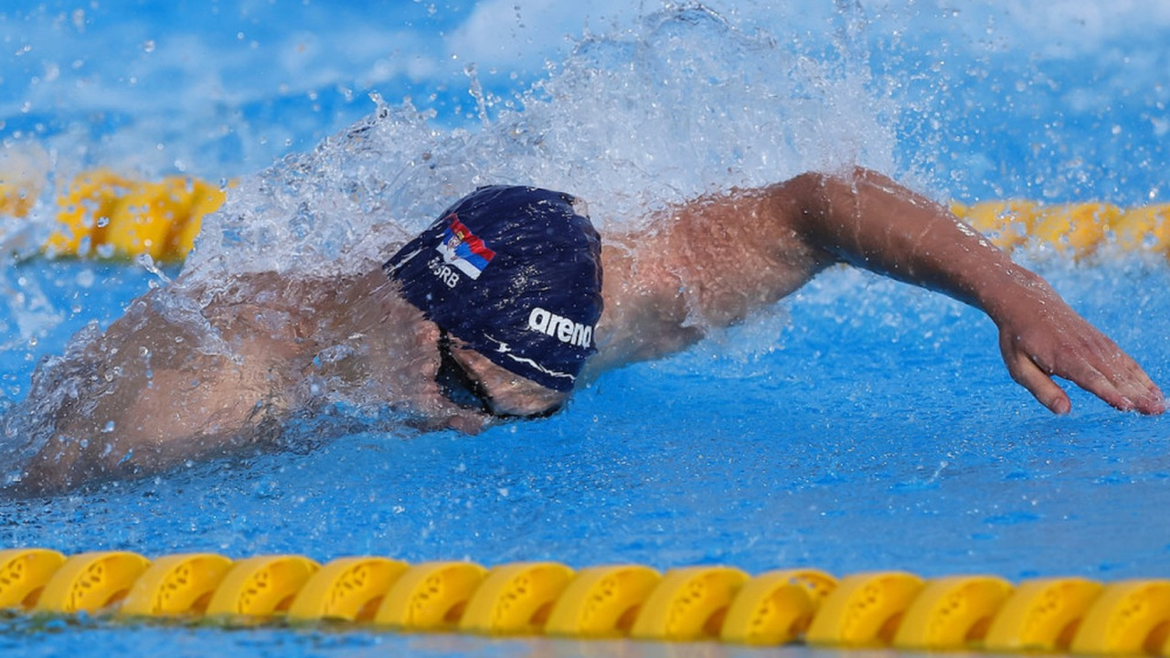 Andrej Barna swims freestyle in a competition pool